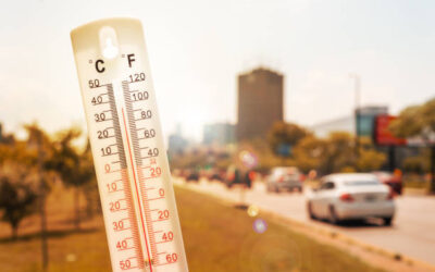 Canicule et conduite : Risques et solutions pour vous et votre véhicule