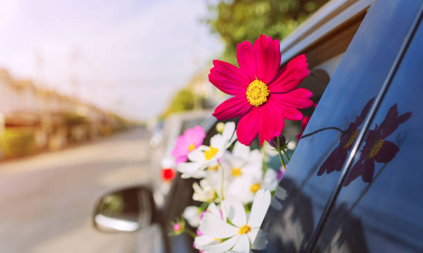 revision voiture printemps