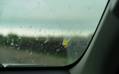 Moustiques voiture : solutions efficaces pour s’en débarrasser
